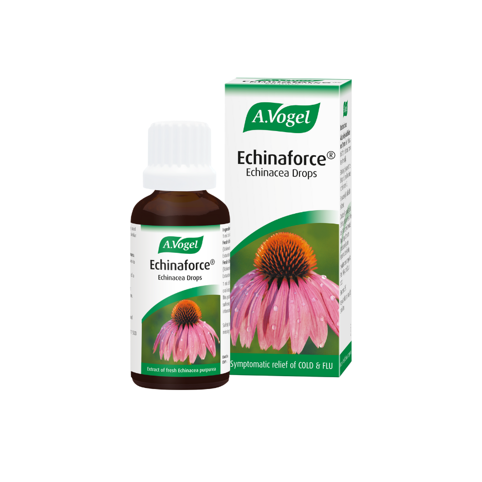 A Vogel Echinaforce Echinacea Drops 100ml
