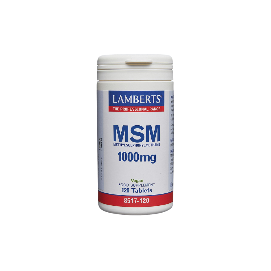 Lamberts MSM 1000mg 8517 120