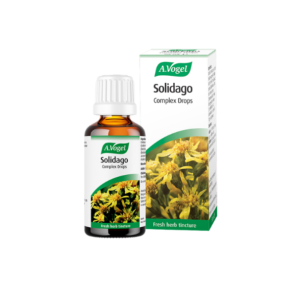 Solidago Complex Drops